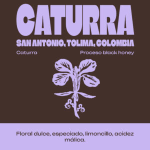 CATURRA